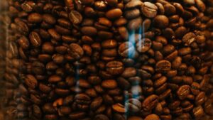Kribi Coffee Forest Park First Floor 72