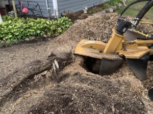 303112540 760810644975672 3355377559322450337 n