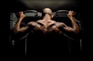 Ultraflex Gym2