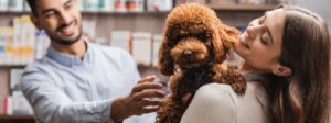 Cheerful,Woman,Holding,Brown,Poodle,Near,Blurred,Muslim,Salesman,In