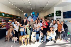 Website 2400 x 1600 px