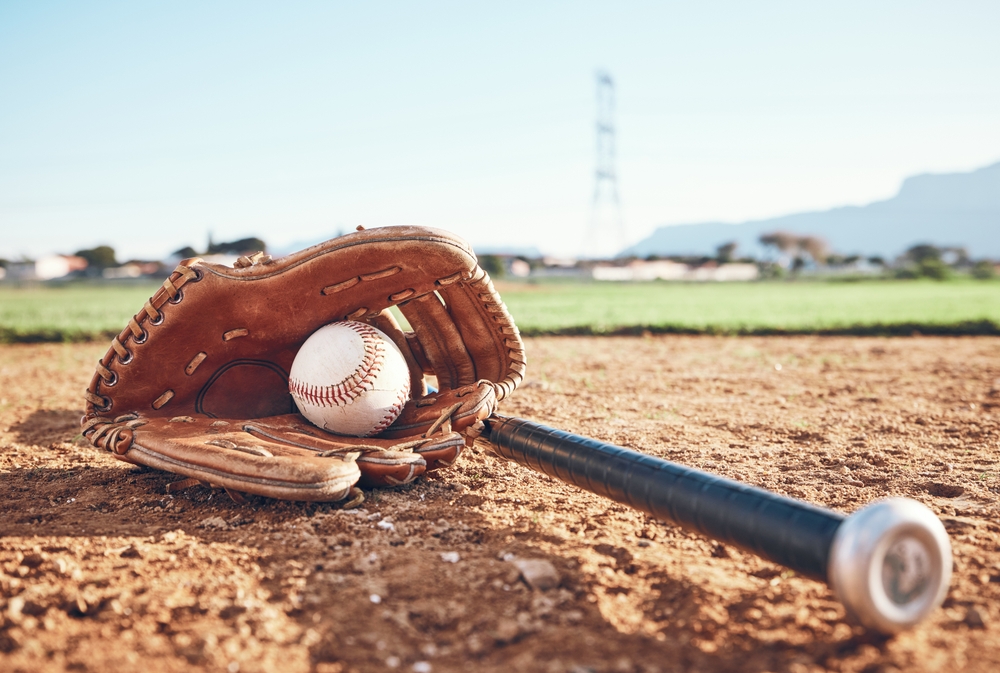 The Growth of Baseball Training Franchises